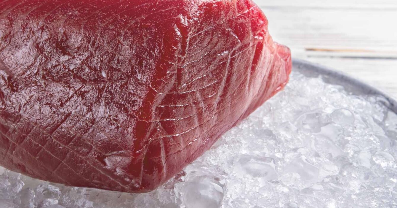 piece-of-meat-on-ice